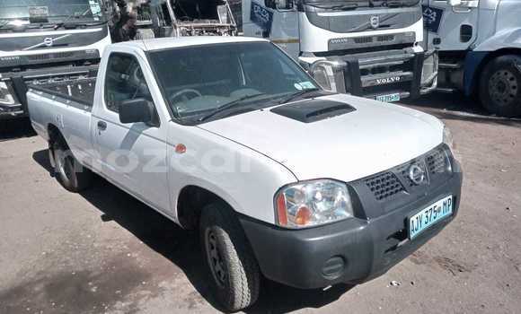 Tenga Tsaru Nissan Hardbody Chena Mota in Maputo in Maputo Tenga Tsaru Nissan Hardbody Chena Mota in Maputo in Maputo