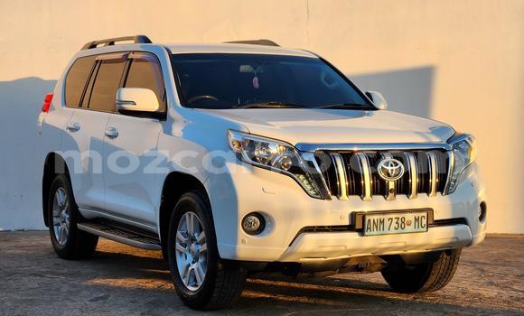 Buy New Toyota Land Cruiser Prado White Car in Maputo in Maputo Buy New Toyota Land Cruiser Prado White Car in Maputo in Maputo