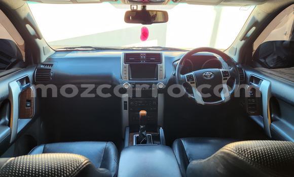 Buy New Toyota Land Cruiser Prado White Car in Maputo in Maputo Buy New Toyota Land Cruiser Prado White Car in Maputo in Maputo