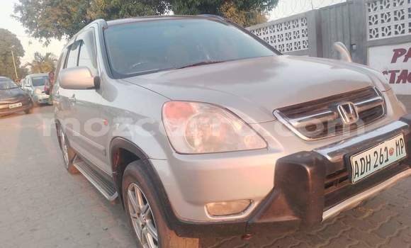 Buy Used Honda CR-V Other Car in Maputo in Maputo Buy Used Honda CR-V Other Car in Maputo in Maputo