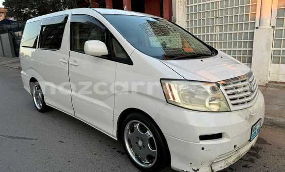 Buy Used Toyota Alphard White Car in Maputo in Maputo