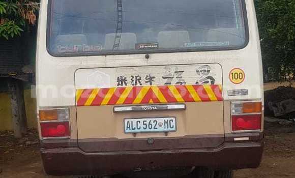 Comprar Novo Toyota Coaster Bege Carro em Maputo em Maputo Comprar Novo Toyota Coaster Bege Carro em Maputo em Maputo