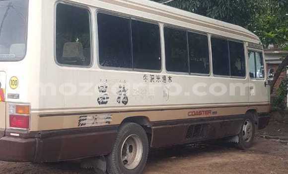 Comprar Novo Toyota Coaster Bege Carro em Maputo em Maputo Comprar Novo Toyota Coaster Bege Carro em Maputo em Maputo