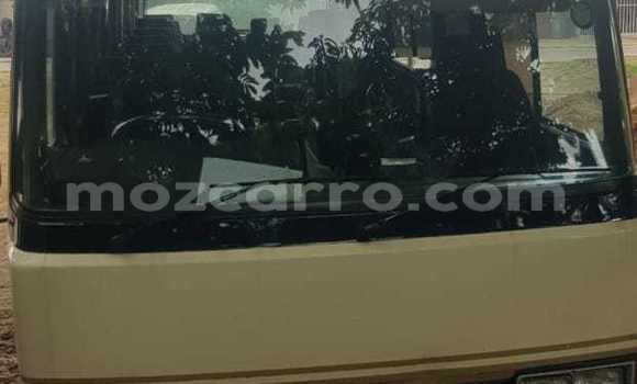 Comprar Novo Toyota Coaster Bege Carro em Maputo em Maputo Comprar Novo Toyota Coaster Bege Carro em Maputo em Maputo