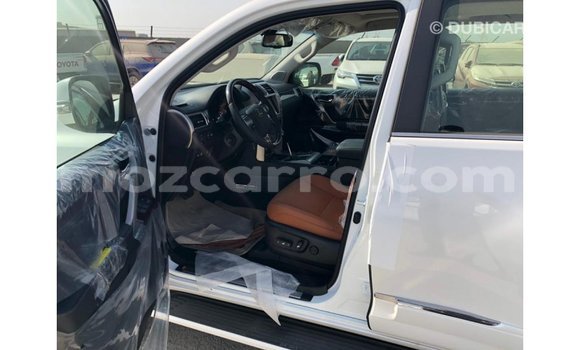 Comprar Importar Lexus LX Branco Carro em Import - Dubai em Cabo Delgado Comprar Importar Lexus LX Branco Carro em Import - Dubai em Cabo Delgado