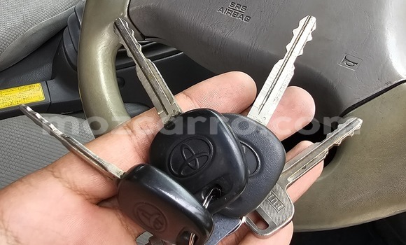 Buy New Toyota Dyna White Car in Maputo in Maputo Buy New Toyota Dyna White Car in Maputo in Maputo