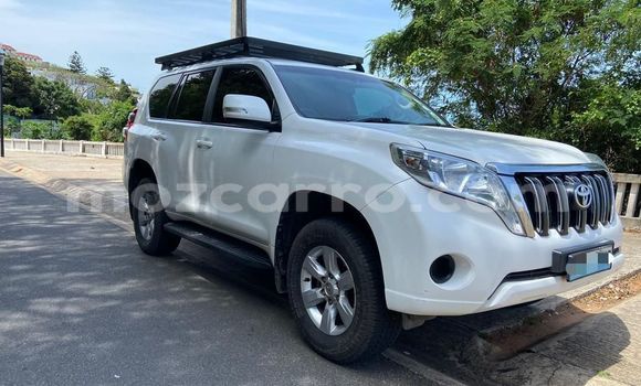 Tenga Tsaru Toyota Land Cruiser Prado Chena Mota in Maputo in Maputo