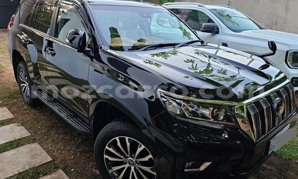 Buy New Toyota Land Cruiser Prado Black Car in Maputo in Maputo Buy New Toyota Land Cruiser Prado Black Car in Maputo in Maputo