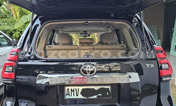 Buy New Toyota Land Cruiser Prado Black Car in Maputo in Maputo Buy New Toyota Land Cruiser Prado Black Car in Maputo in Maputo