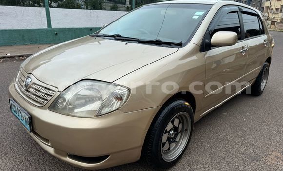 Buy Used Toyota Runx Silver Car in Maputo in Maputo Buy Used Toyota Runx Silver Car in Maputo in Maputo