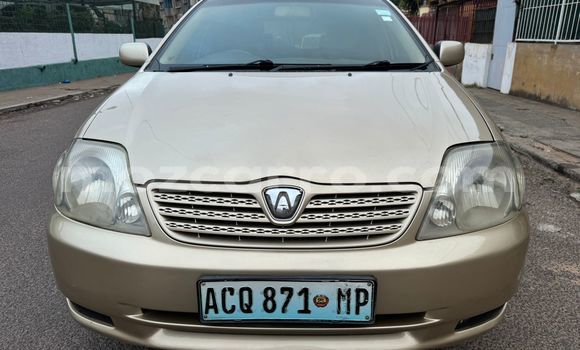 Buy Used Toyota Runx Silver Car in Maputo in Maputo Buy Used Toyota Runx Silver Car in Maputo in Maputo