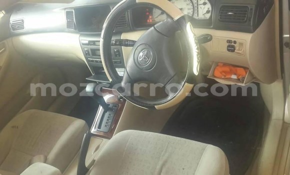 Comprar Usado Toyota Allex Prata Carro em Maputo em Maputo Comprar Usado Toyota Allex Prata Carro em Maputo em Maputo