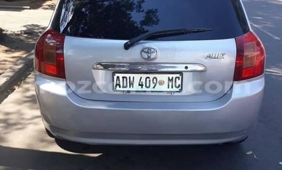 Comprar Usado Toyota Allex Prata Carro em Maputo em Maputo Comprar Usado Toyota Allex Prata Carro em Maputo em Maputo