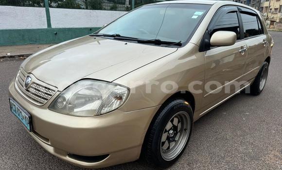 Tenga Tsaru Toyota Runx Zvimwe Mota in Maputo in Maputo Tenga Tsaru Toyota Runx Zvimwe Mota in Maputo in Maputo