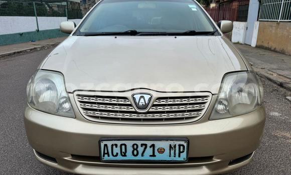 Tenga Tsaru Toyota Runx Zvimwe Mota in Maputo in Maputo Tenga Tsaru Toyota Runx Zvimwe Mota in Maputo in Maputo