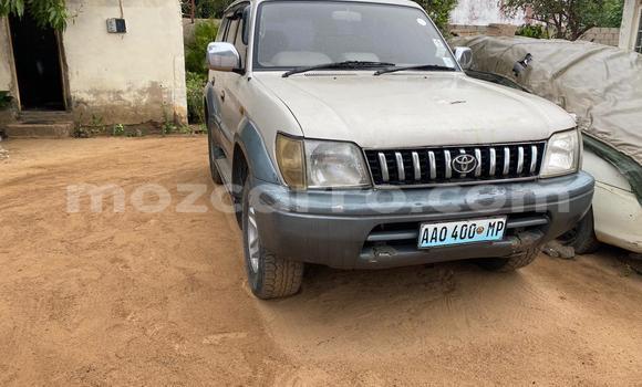 Nunua Ilio tumika Toyota Land Cruiser Prado Nyingine Gari ndani ya Maputo nchini Maputo Nunua Ilio tumika Toyota Land Cruiser Prado Nyingine Gari ndani ya Maputo nchini Maputo