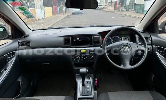 Tenga Tsaru Toyota Runx Tsvuku Mota in Maputo in Maputo Tenga Tsaru Toyota Runx Tsvuku Mota in Maputo in Maputo