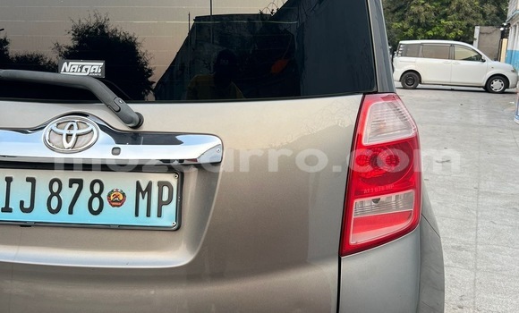 Buy New AC Ace Brown Car in Maputo in Maputo