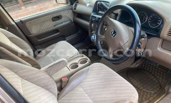 Buy Used Toyota Land Cruiser Other Car in Maputo in Maputo Buy Used Toyota Land Cruiser Other Car in Maputo in Maputo