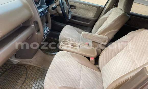 Buy Used Toyota Land Cruiser Other Car in Maputo in Maputo Buy Used Toyota Land Cruiser Other Car in Maputo in Maputo