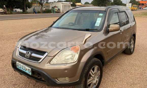 Buy Used Honda CR-V Other Car in Maputo in Maputo Buy Used Honda CR-V Other Car in Maputo in Maputo