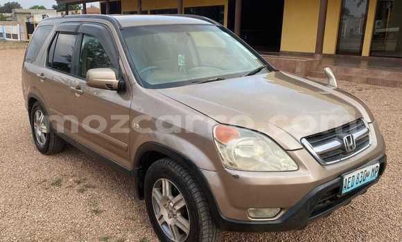 Buy Used Honda CR-V Other Car in Maputo in Maputo Buy Used Honda CR-V Other Car in Maputo in Maputo