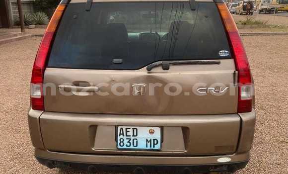 Buy Used Honda CR-V Other Car in Maputo in Maputo Buy Used Honda CR-V Other Car in Maputo in Maputo