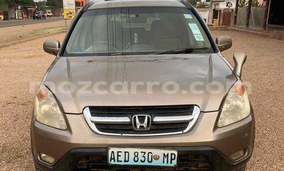 Buy Used Honda CR-V Other Car in Maputo in Maputo Buy Used Honda CR-V Other Car in Maputo in Maputo
