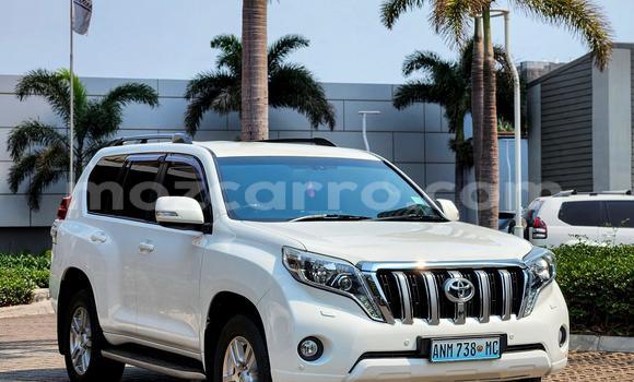 Buy New Toyota Land Cruiser Prado White Car in Maputo in Maputo Buy New Toyota Land Cruiser Prado White Car in Maputo in Maputo