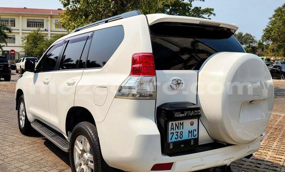 Buy New Toyota Land Cruiser Prado White Car in Maputo in Maputo Buy New Toyota Land Cruiser Prado White Car in Maputo in Maputo
