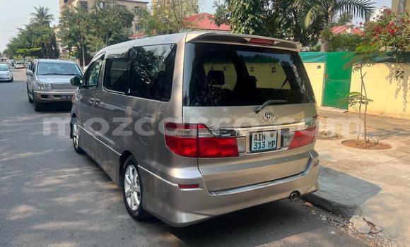 Tenga Itsva Toyota Alphard Zvimwe Mota in Maputo in Maputo Tenga Itsva Toyota Alphard Zvimwe Mota in Maputo in Maputo
