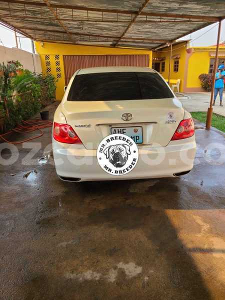 Big with watermark toyota mark x maputo maputo 29370