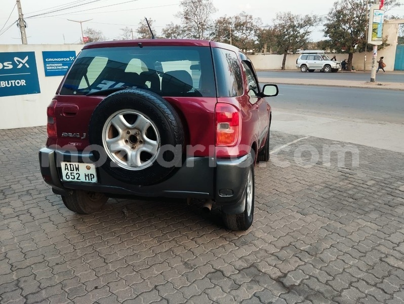 Big with watermark amc hornet maputo maputo 29394