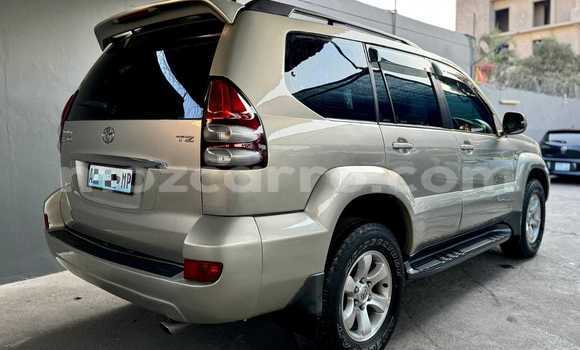 Buy Used Toyota Land Cruiser Prado Silver Car in Maputo in Maputo Buy Used Toyota Land Cruiser Prado Silver Car in Maputo in Maputo