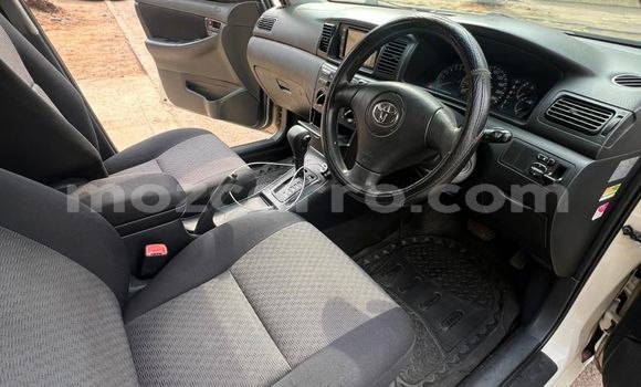 Nunua Ilio tumika Toyota Runx Nyingine Gari ndani ya Maputo nchini Maputo Nunua Ilio tumika Toyota Runx Nyingine Gari ndani ya Maputo nchini Maputo