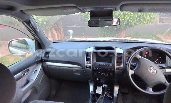 Tenga Tsaru Toyota Land Cruiser Prado Zvimwe Mota in Maputo in Maputo Tenga Tsaru Toyota Land Cruiser Prado Zvimwe Mota in Maputo in Maputo