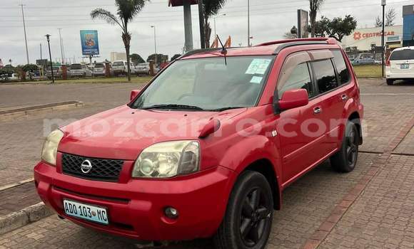 Buy Used Nissan X-Trail Red Car in Maputo in Maputo