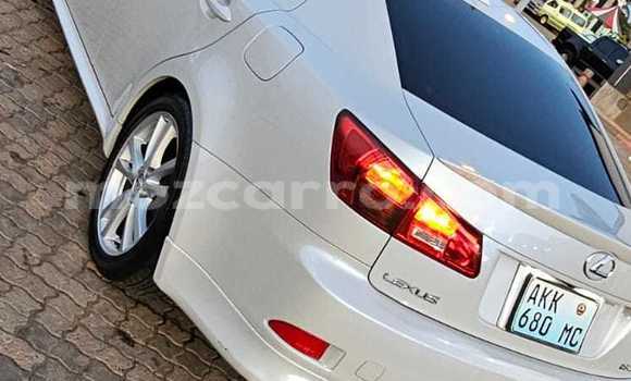 Tenga Tsaru Lexus IS Chena Mota in Maputo in Maputo Tenga Tsaru Lexus IS Chena Mota in Maputo in Maputo