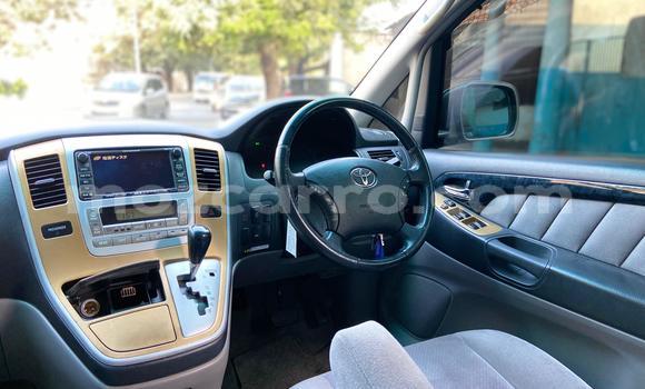 Nunua Ilio tumika Toyota Alphard Fedha Gari ndani ya Maputo nchini Maputo Nunua Ilio tumika Toyota Alphard Fedha Gari ndani ya Maputo nchini Maputo