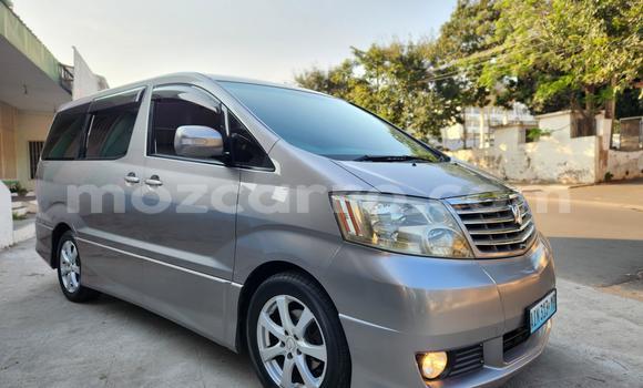 Nunua Ilio tumika Toyota Alphard Fedha Gari ndani ya Maputo nchini Maputo Nunua Ilio tumika Toyota Alphard Fedha Gari ndani ya Maputo nchini Maputo