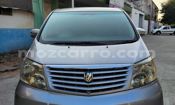 Nunua Ilio tumika Toyota Alphard Fedha Gari ndani ya Maputo nchini Maputo Nunua Ilio tumika Toyota Alphard Fedha Gari ndani ya Maputo nchini Maputo