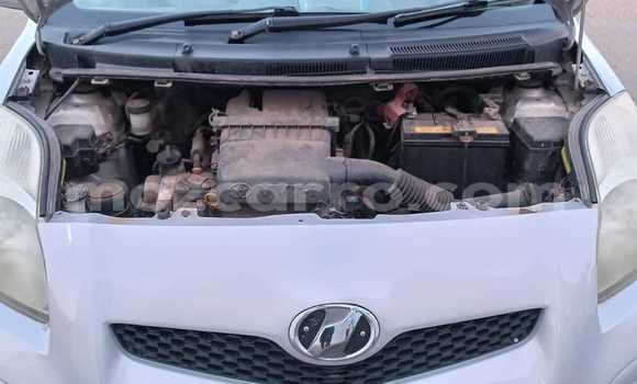 Tenga Tsaru Toyota Vitz Zvimwe Mota in Maputo in Maputo Tenga Tsaru Toyota Vitz Zvimwe Mota in Maputo in Maputo