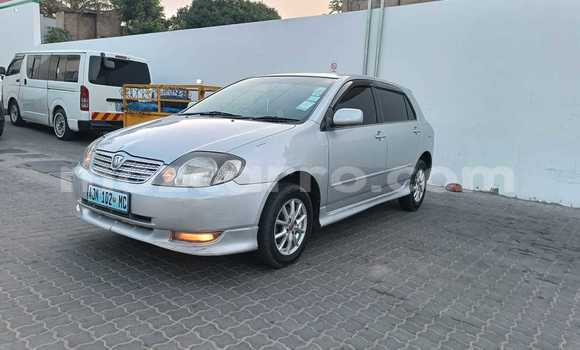 Nunua Ilio tumika Toyota Runx Fedha Gari ndani ya Maputo nchini Maputo Nunua Ilio tumika Toyota Runx Fedha Gari ndani ya Maputo nchini Maputo