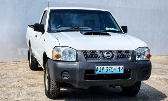 Comprar Usado Nissan Hardbody Branco Carro em Maputo em Maputo