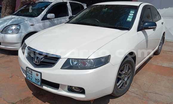 Nunua Ilio tumika Honda Accord Nyeupe Gari ndani ya Maputo nchini Maputo Nunua Ilio tumika Honda Accord Nyeupe Gari ndani ya Maputo nchini Maputo