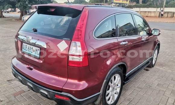 Nunua Ilio tumika Honda CR-V Nyekundu Gari ndani ya Maputo nchini Maputo