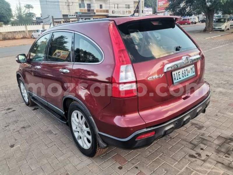 Big with watermark honda cr v maputo maputo 29593