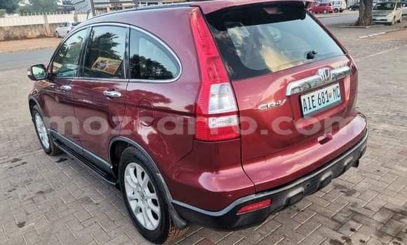 Comprar Usado Honda CR-V Vermelho Carro em Maputo em Maputo Comprar Usado Honda CR-V Vermelho Carro em Maputo em Maputo