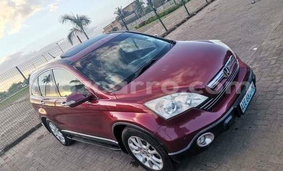 Comprar Usado Honda CR-V Vermelho Carro em Maputo em Maputo Comprar Usado Honda CR-V Vermelho Carro em Maputo em Maputo