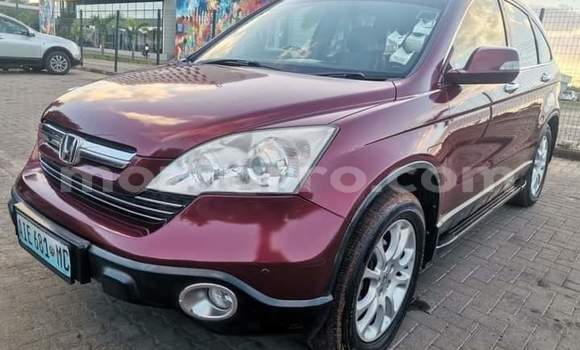 Comprar Usado Honda CR-V Vermelho Carro em Maputo em Maputo Comprar Usado Honda CR-V Vermelho Carro em Maputo em Maputo